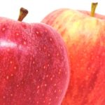 リンゴ/林檎のイメージ画像：食べ物辞典トップ用