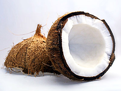 ココナッツ(ココヤシの実)イメージ
