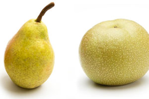 和梨と洋梨の違いの違い比較の記事トップ画像